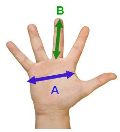 Taille des gants par le rapport longueur des doigts - largeur de la main